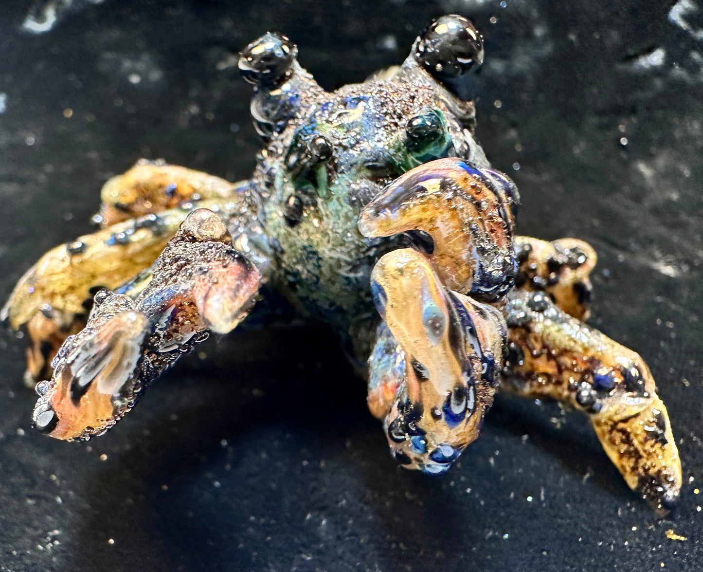 Little hermit crab (needs a home and a shell 🥺)