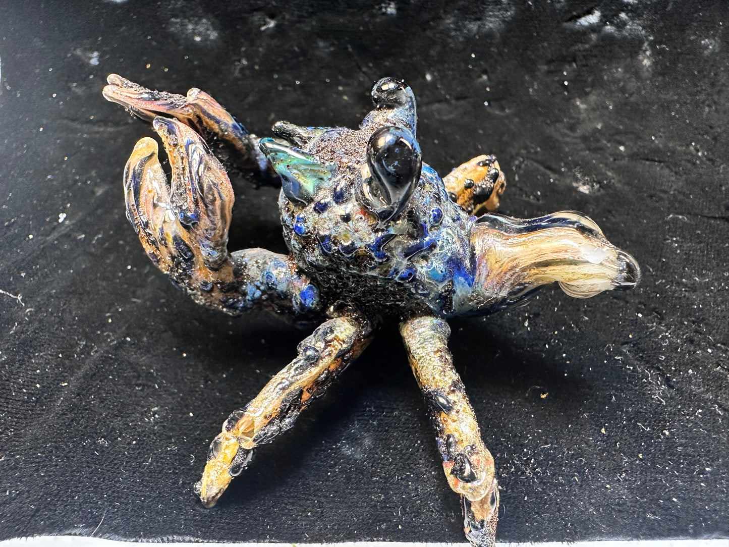 Little hermit crab (needs a home and a shell 🥺)