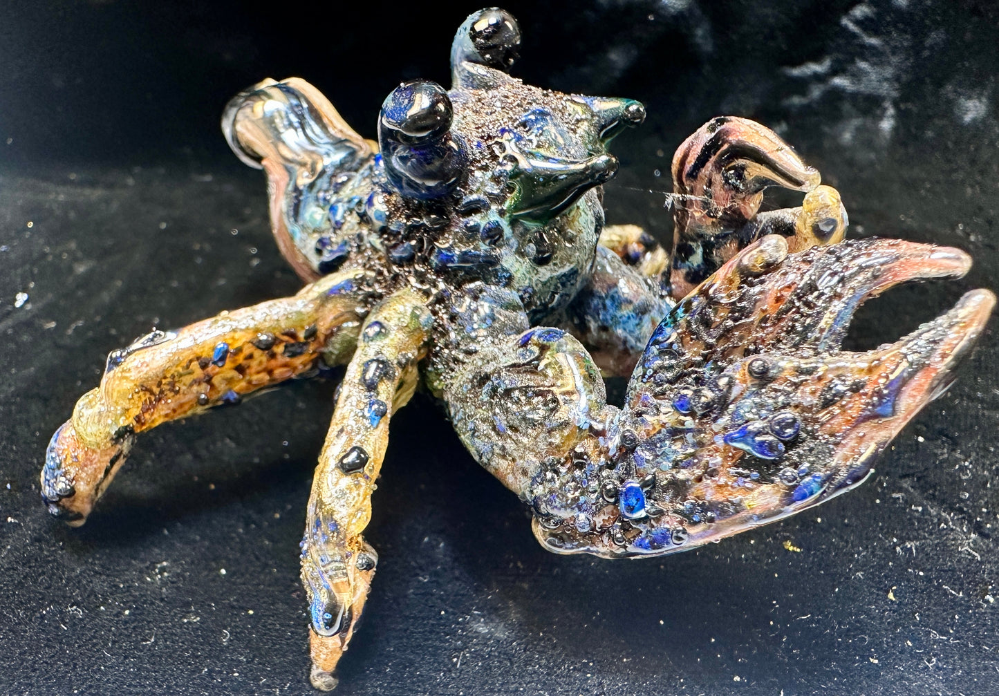 Little hermit crab (needs a home and a shell 🥺)