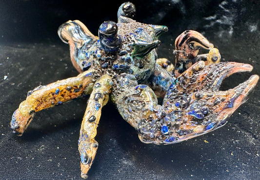 Little hermit crab (needs a home and a shell 🥺)