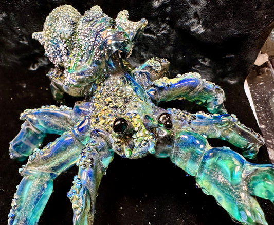 Large hermit crab