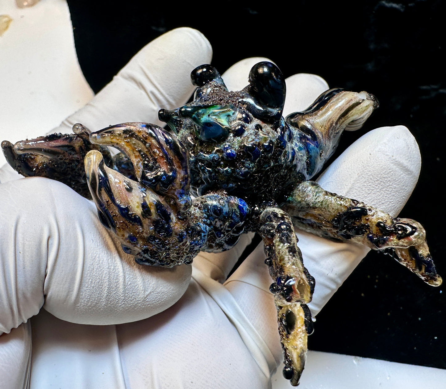 Little hermit crab (needs a home and a shell 🥺)