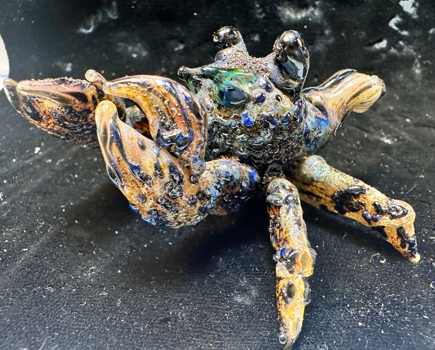 Little hermit crab (needs a home and a shell 🥺)